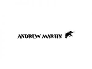 Andrew Martin